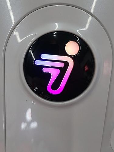 沙石镇时光桑莓是什么